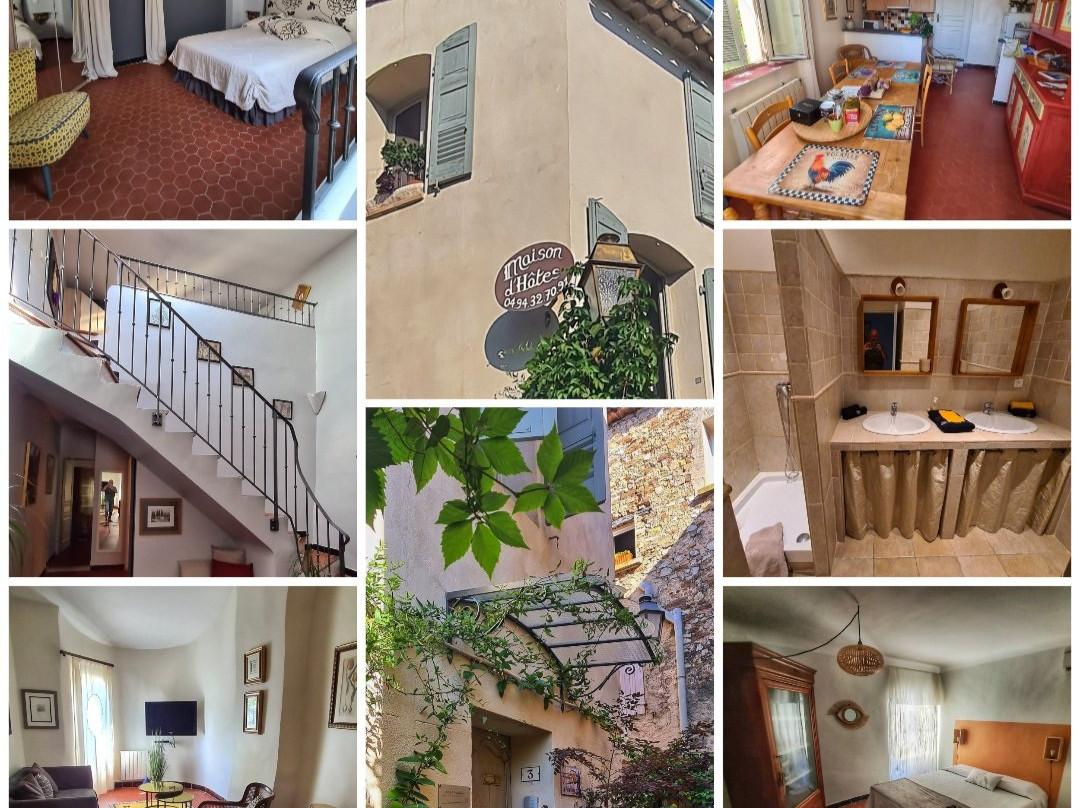 Le Mûrier Bleu主图