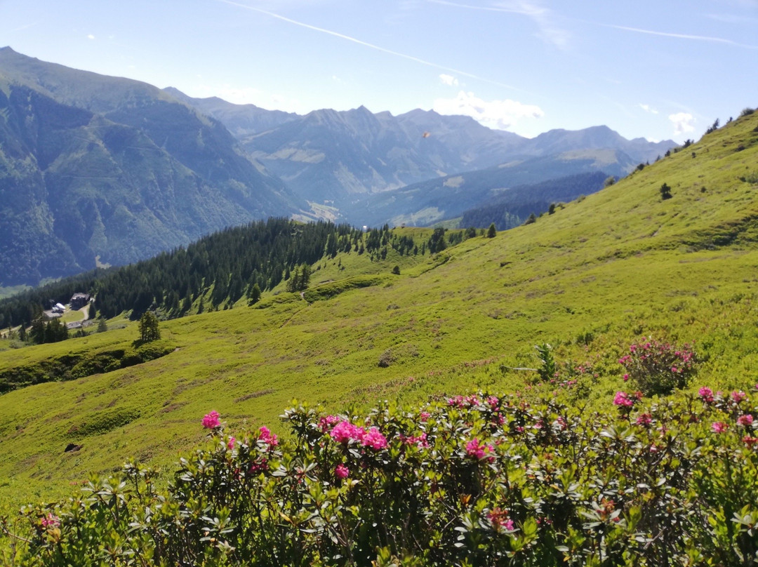 Riesner Alm-Donnersbach必去景点