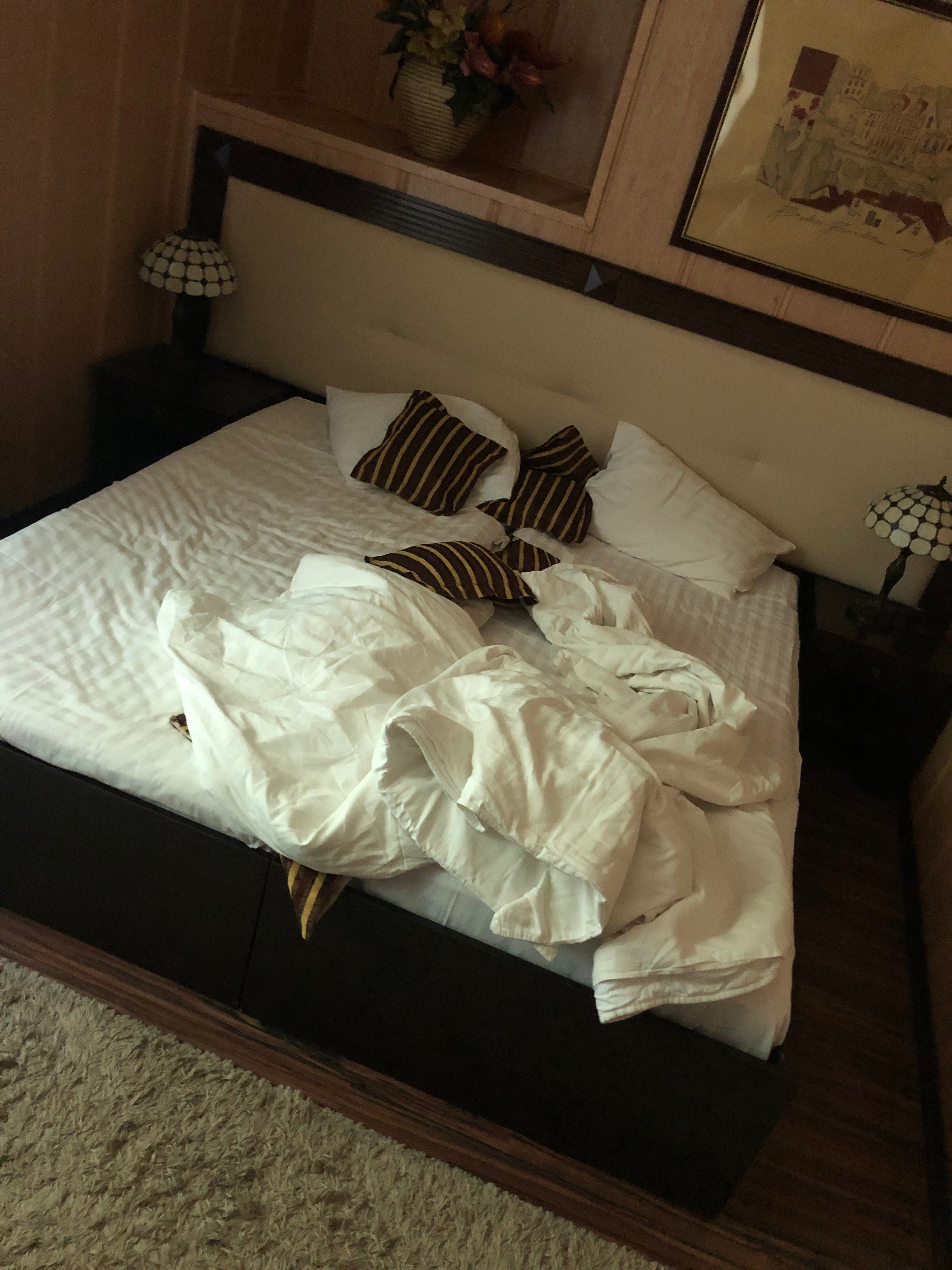 Hotel Baden-Baden-官方