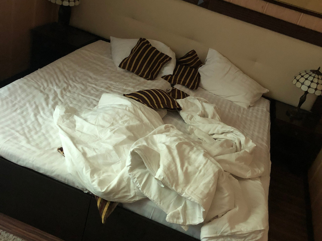 Hotel Baden-Baden主图