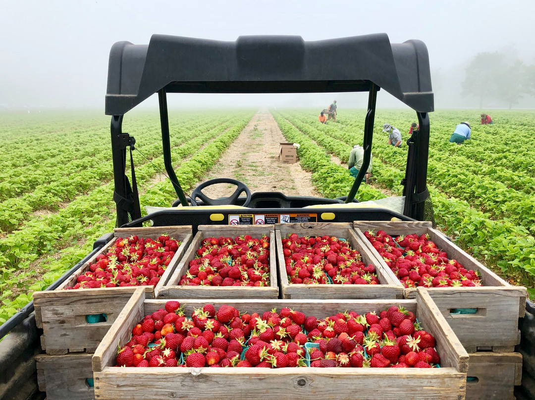 Maxwells Farm-开普伊丽莎白必去景点