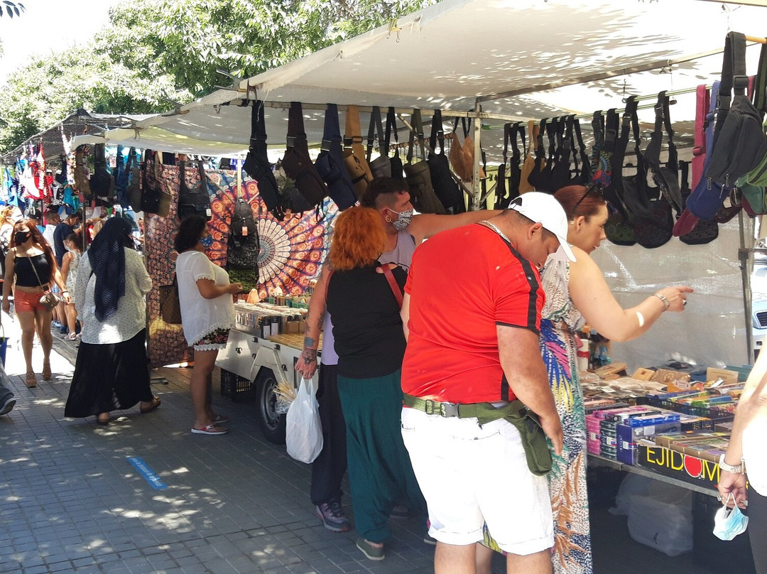 Mercadillo de los Pajaritos景点图片