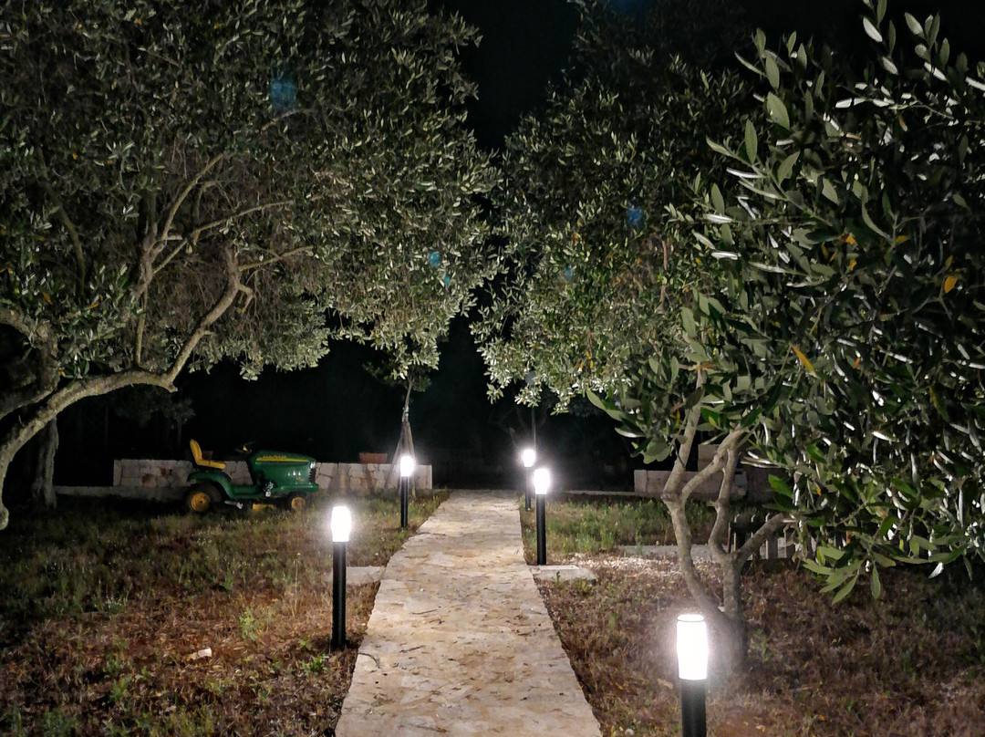 Poggio Degli Ulivi主图