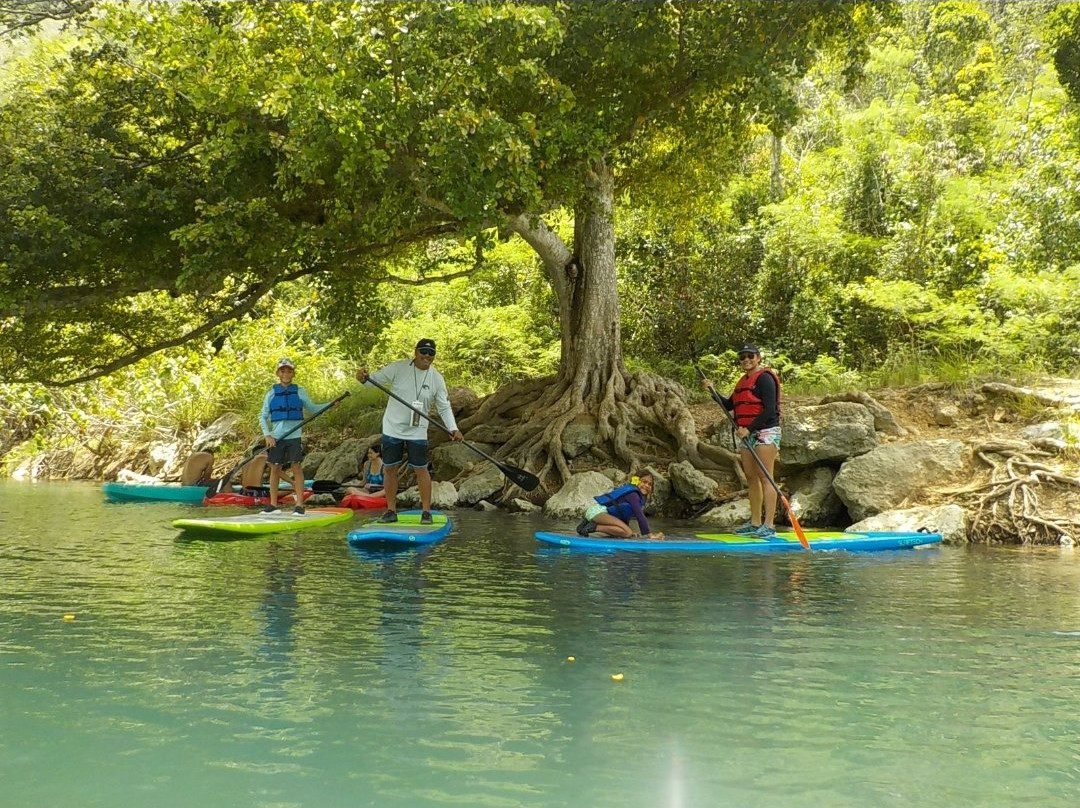 Verde Azul Surf & Stand Up Paddleboard Shop-Aguadilla必去景点