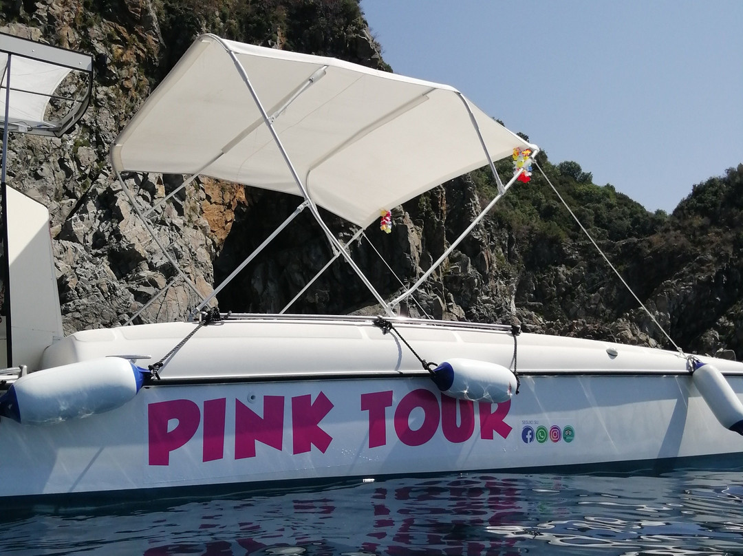 Pink Tour Costa Viola escursioni in barca (Cava Janculla-grotta delle Rondini)景点图片
