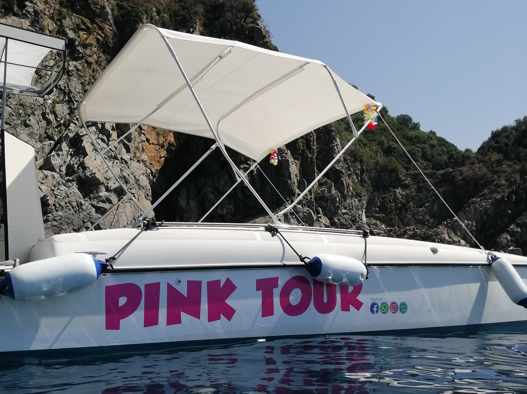 Pink Tour Costa Viola escursioni in barca (Cava Janculla-grotta delle Rondini)-Bagnara Calabra必去景点