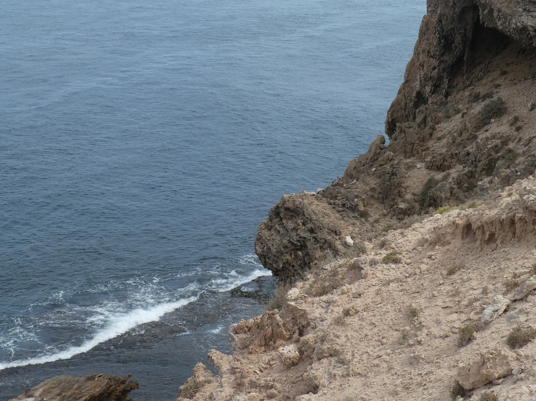 Cape Bauer Loop Drive-Streaky Bay必去景点