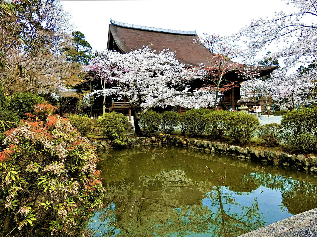 Mii-dera Temple Kondo-大津市必去景点