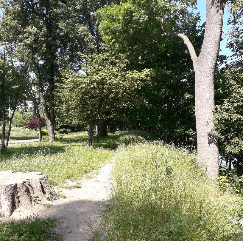 Park Nowowiejskiego景点图片