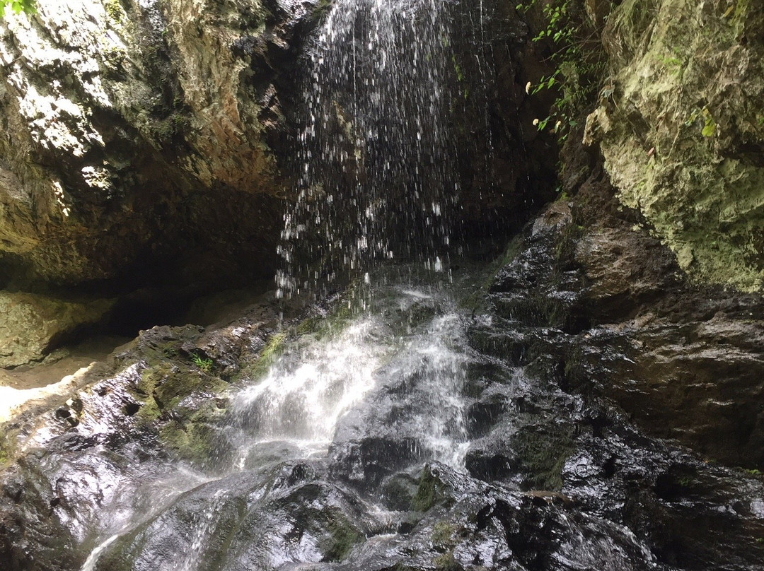 High Shoals Falls-达拉斯必去景点