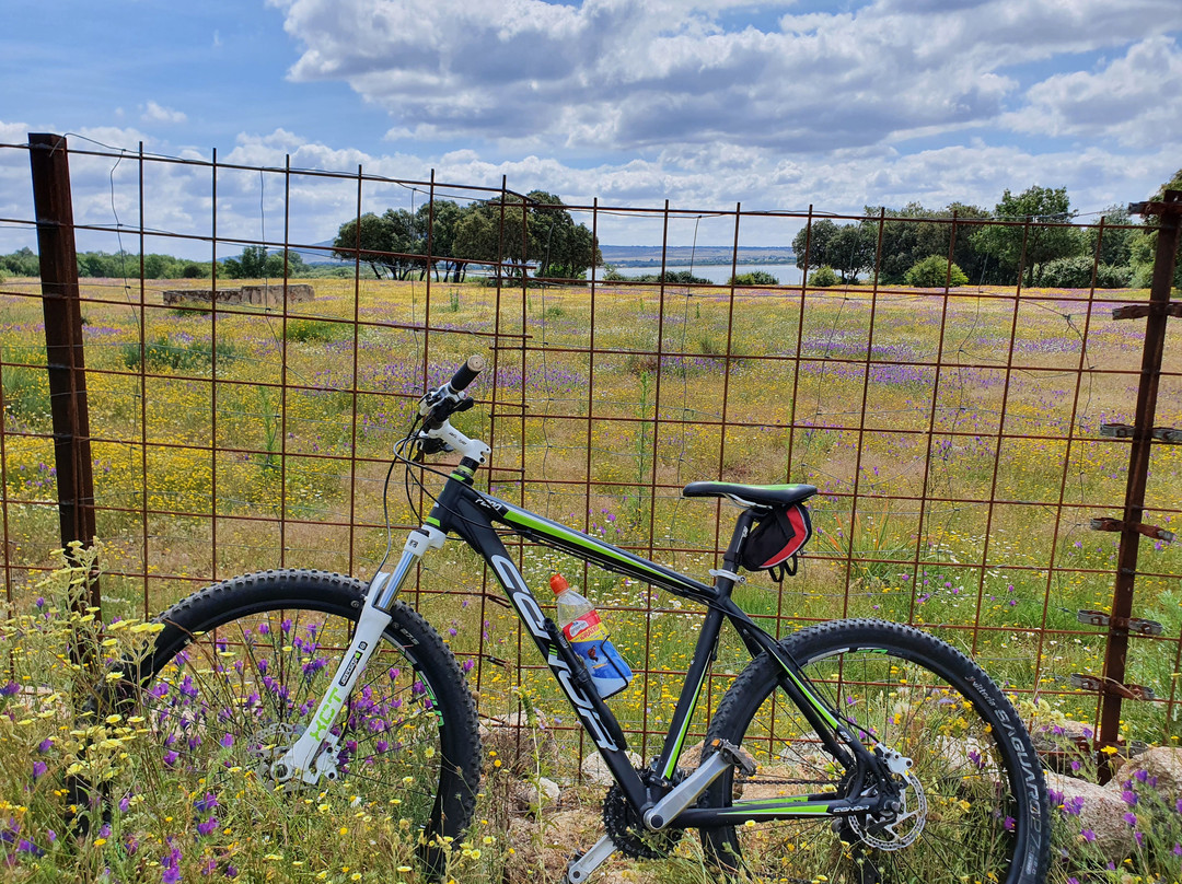 La Cañada en Bici-Manzanares el Real必去景点