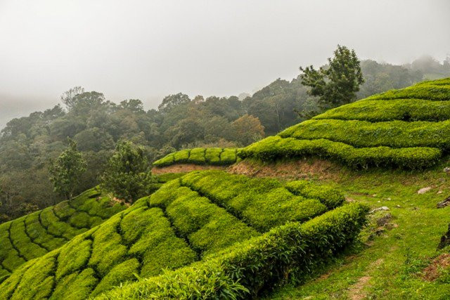 Kurangani-Theni必去景点