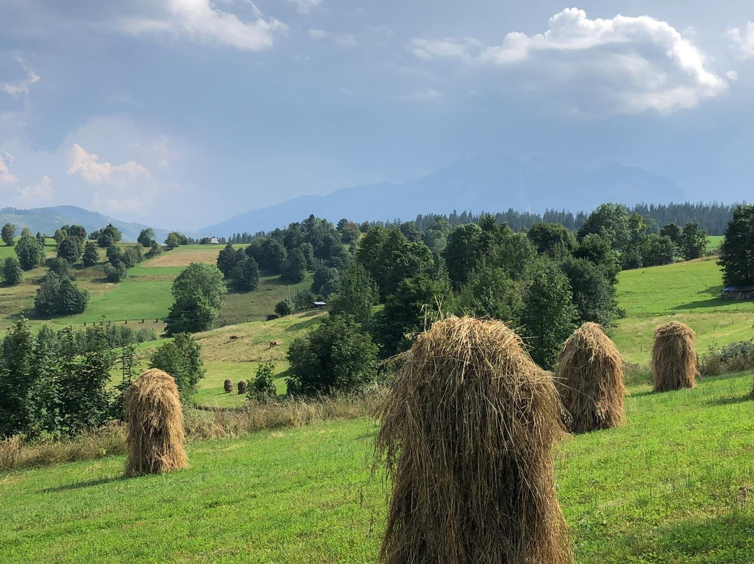 Siumno Izba Bed & Breakfast主图