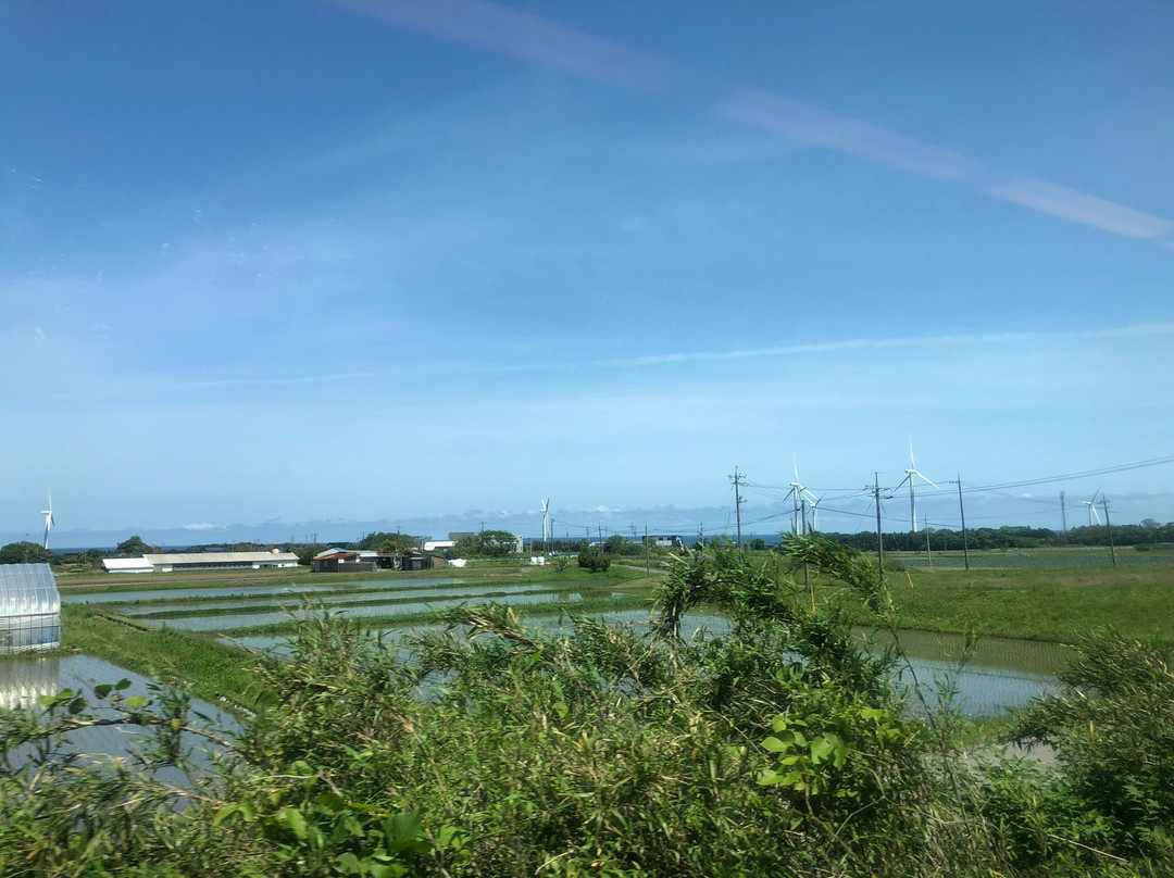 Daisen Wind Farm景点图片