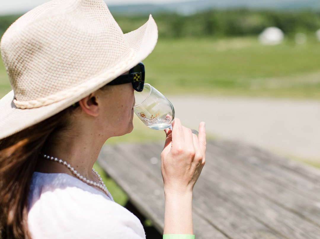 Keuka Lake Wine Trail-Penn Yan必去景点