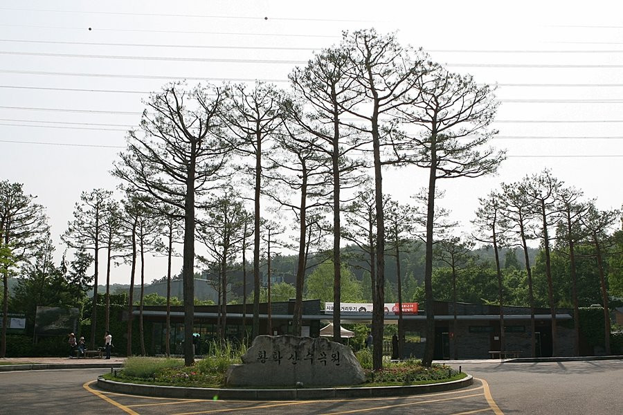 Hwanghaksan Arboretum-骊州郡必去景点