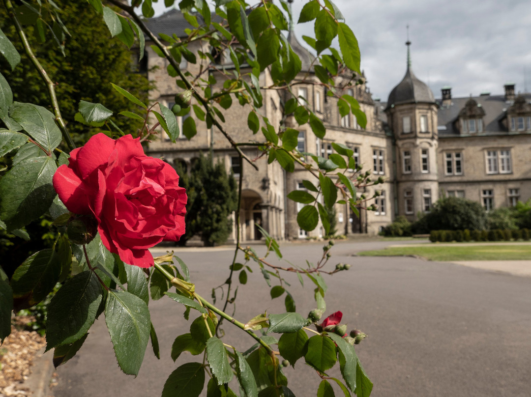 Schloss Bückeburg-Bueckeburg必去景点