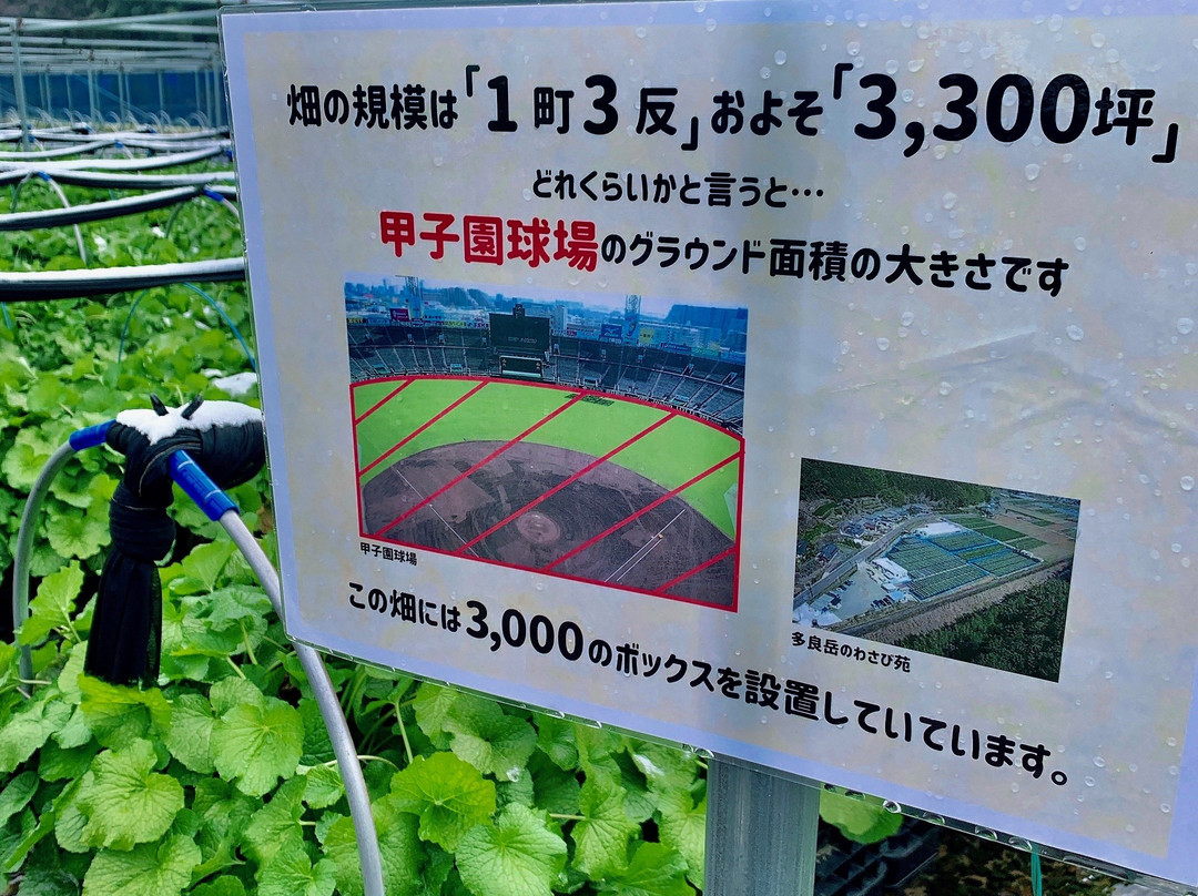 Wasabien Taradake-太良町必去景点