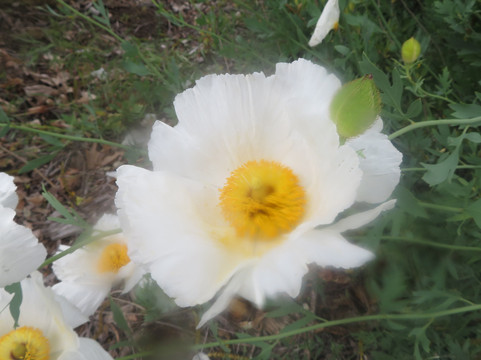 Cull Canyon Regional Recreation Area-卡斯特罗谷必去景点