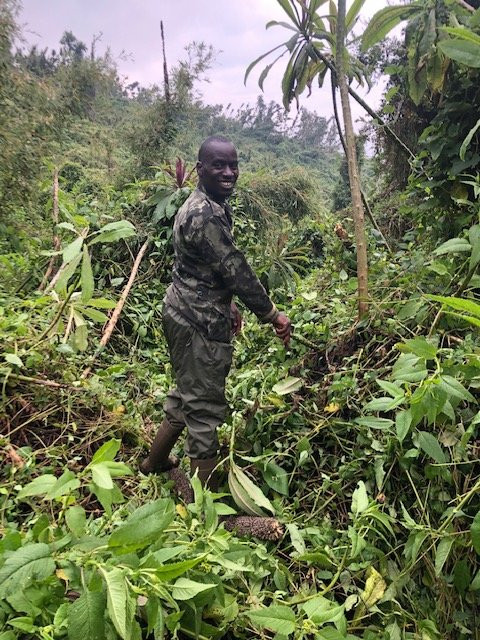 Gorilla Trek Africa-吉佳利必去景点