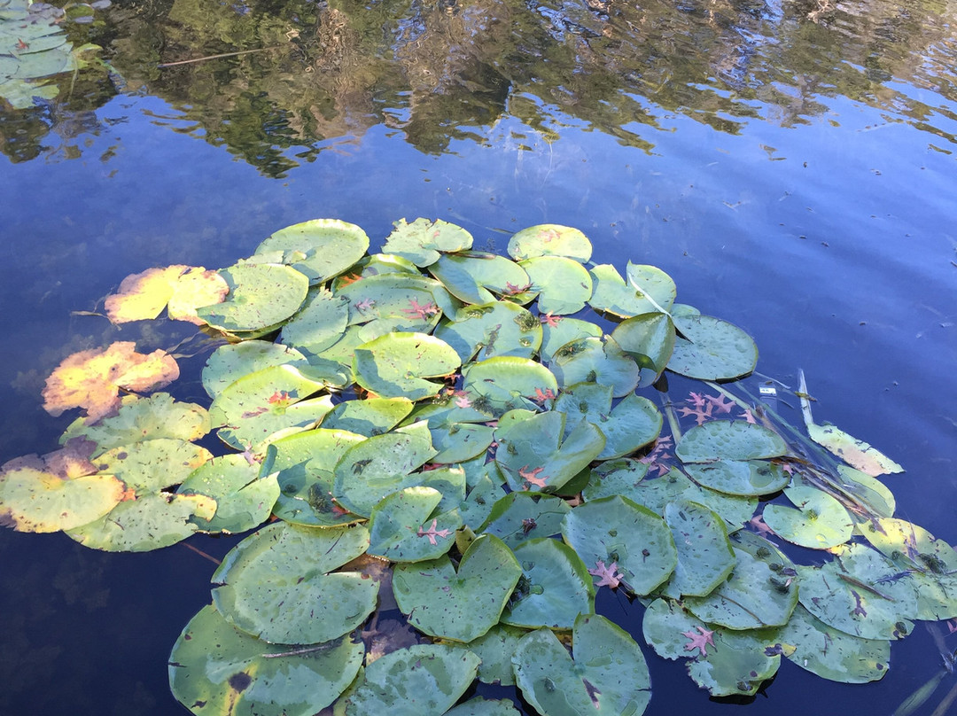 Canal Reserve-塞尔必去景点