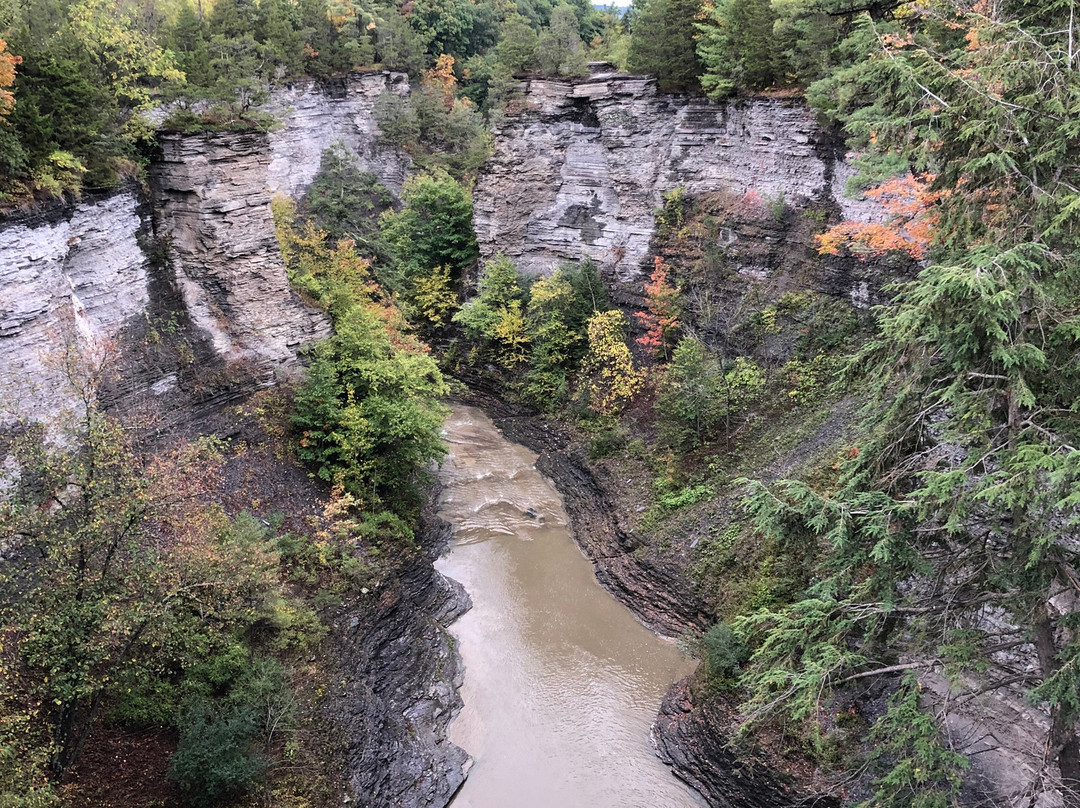 Taughannock Falls State Park景点图片