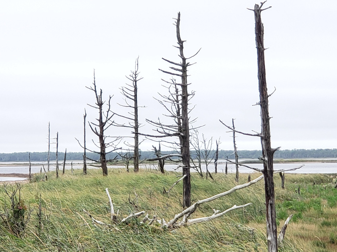 Todowara-别海町必去景点