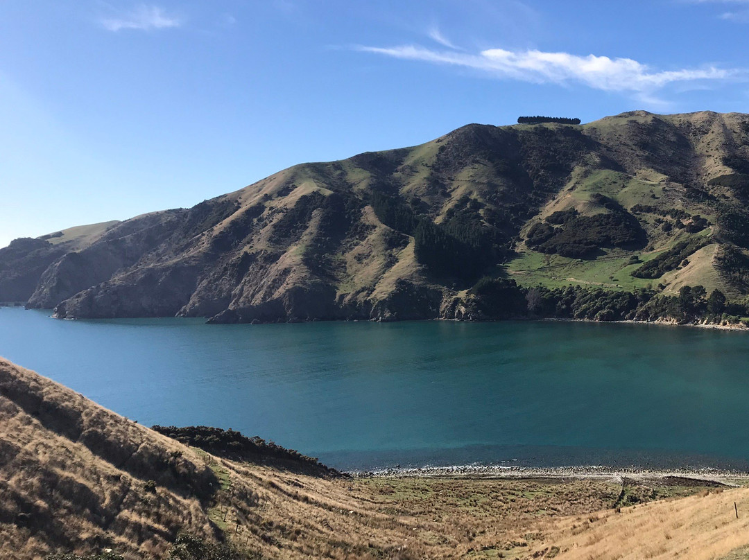 Cable Bay Walkway景点图片