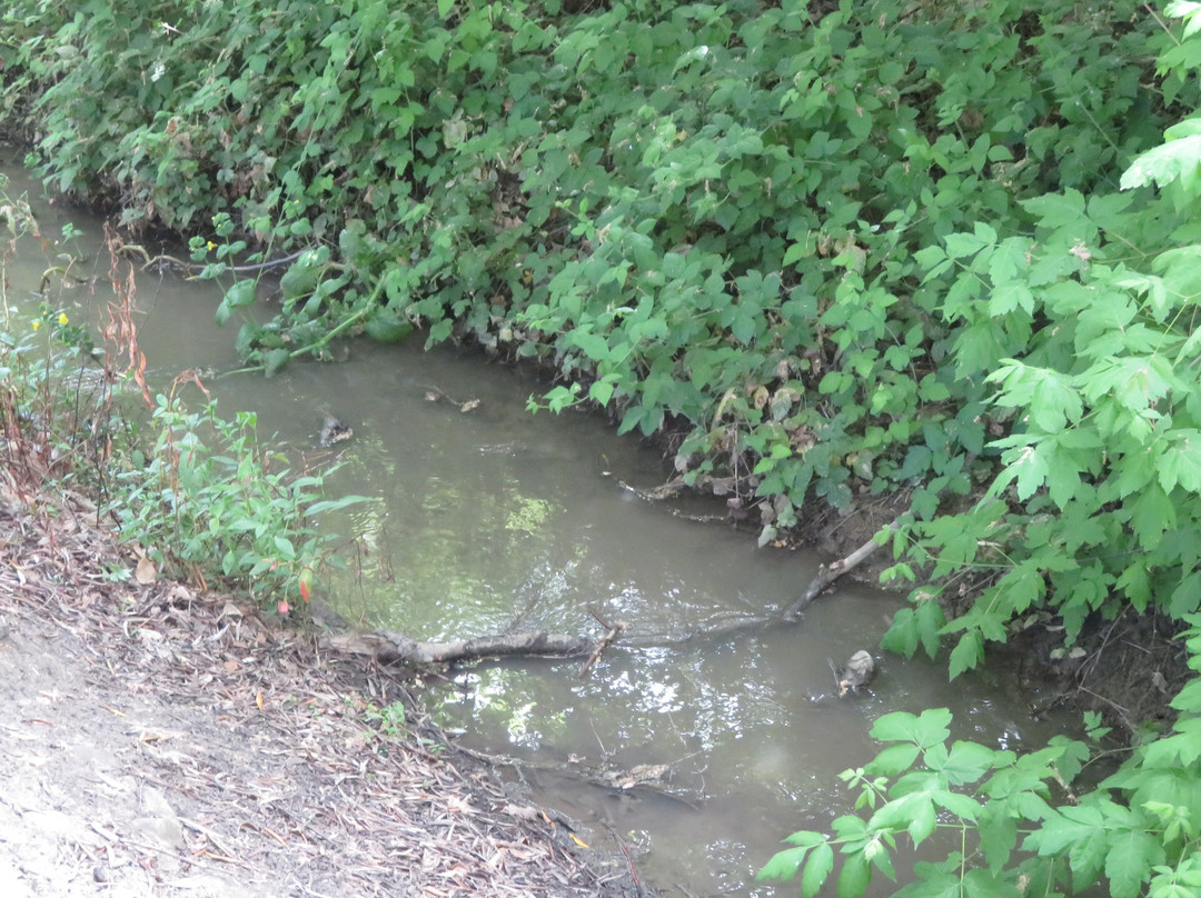 Jose Higuera Adobe Park-米尔皮塔斯必去景点