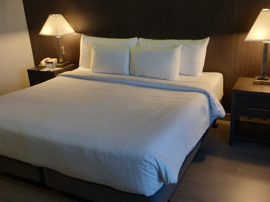 W&P Santo Domingo主图