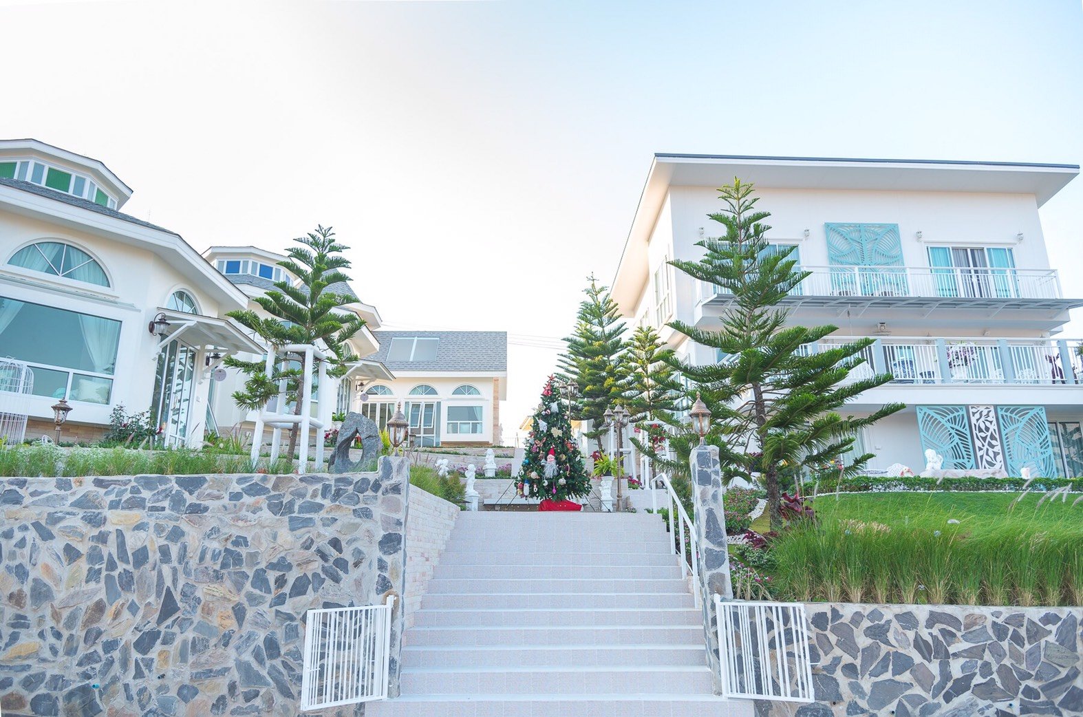 Prim's Cottage-官方
