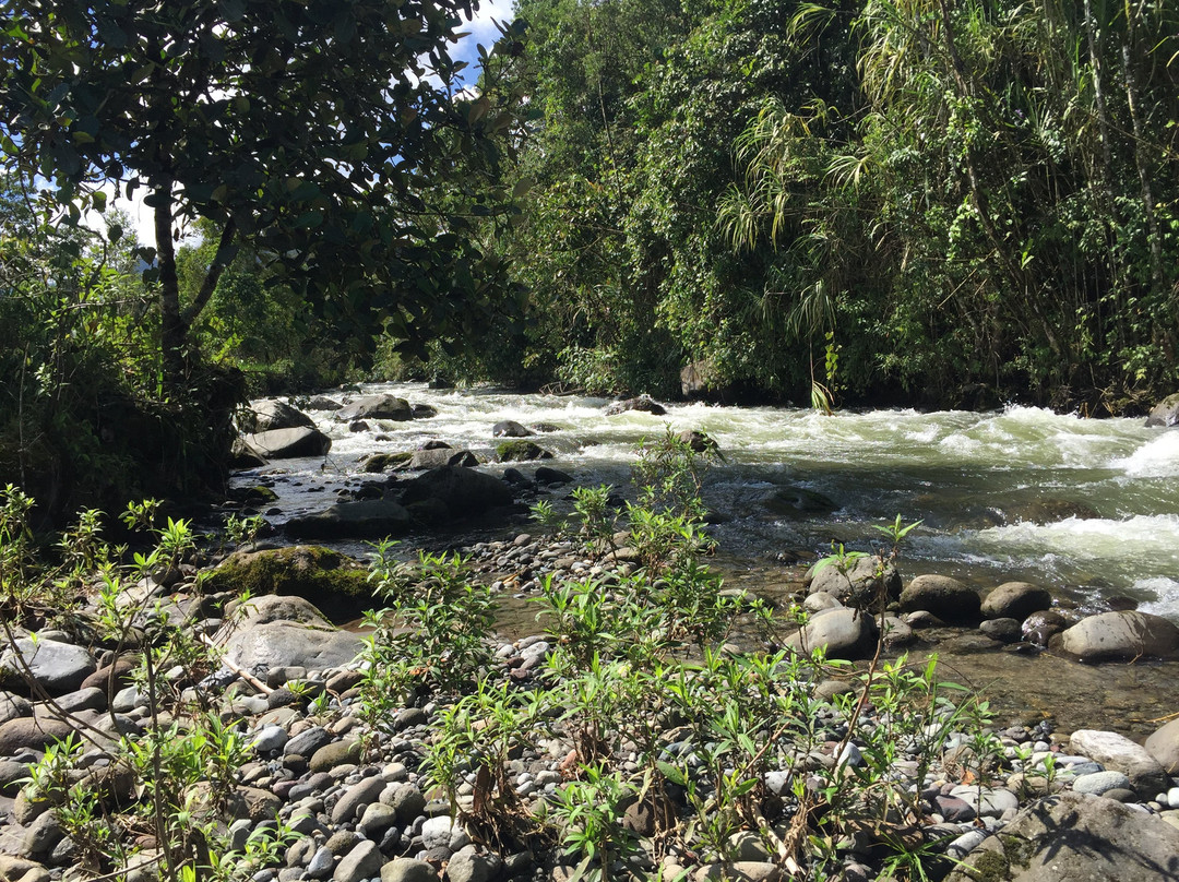 Mindo Nambillo Cloud Forest Reserve-明多必去景点