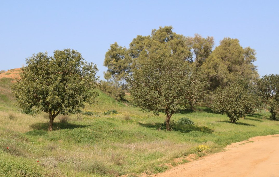 Pura Nature Reserve-贝尔谢巴必去景点