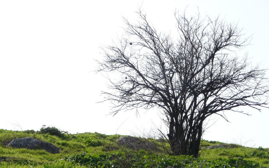 Nahal El Al-Avnei Eitan必去景点