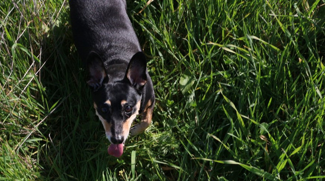 Pura Nature Reserve-贝尔谢巴必去景点