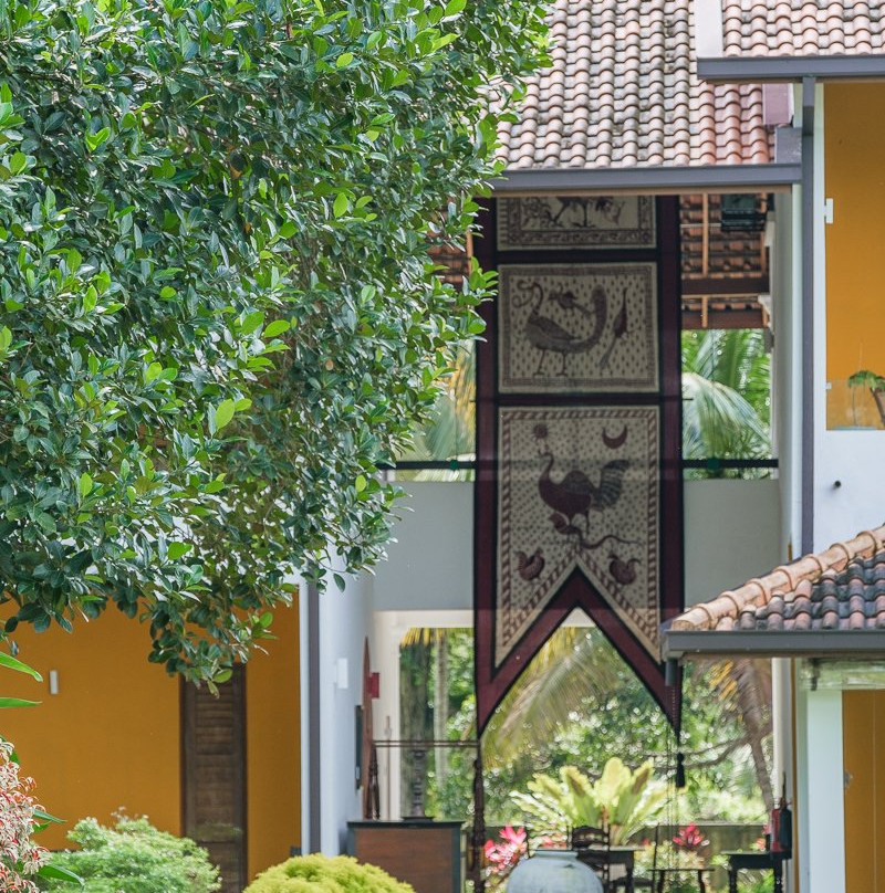 The Notary's House主图