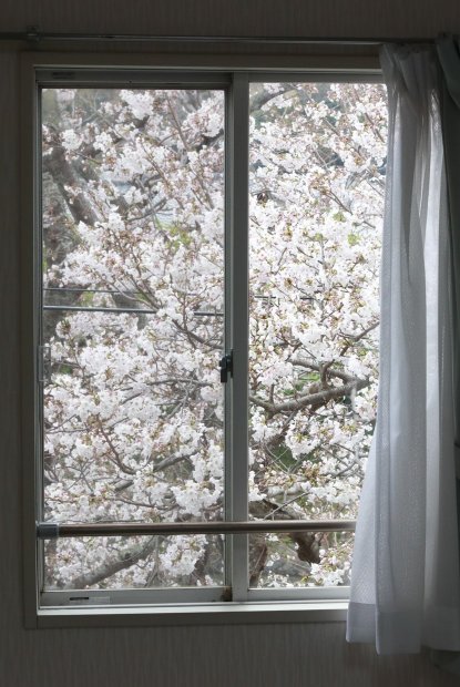 Kawazu no Sato-官方