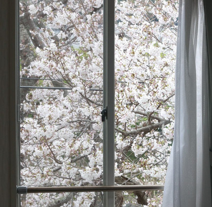 Kawazu no Sato主图