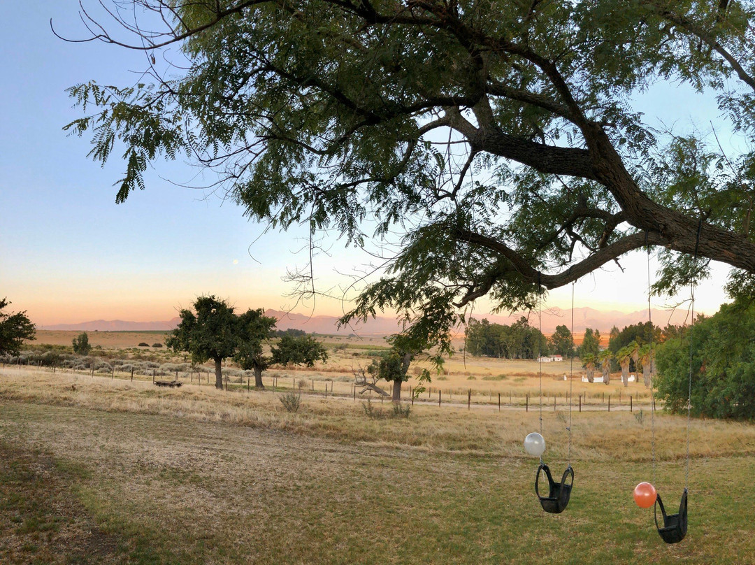 SCALI Wines-帕尔必去景点