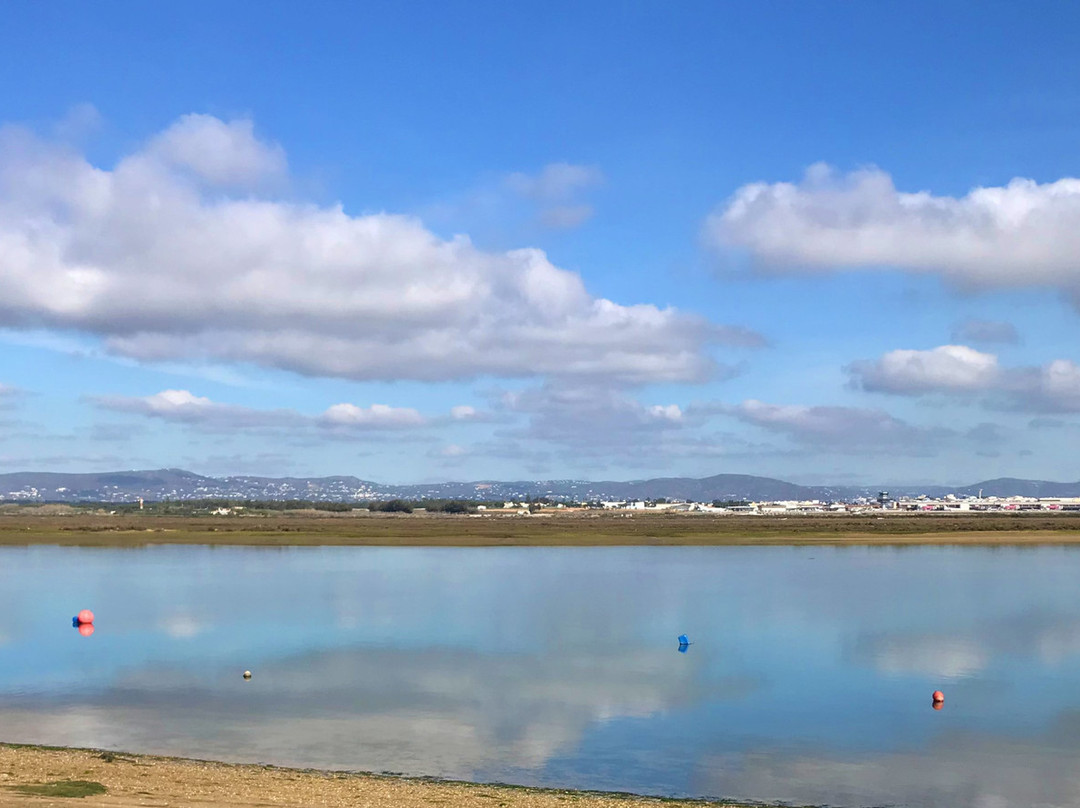 iSea Boat Charter-法罗必去景点