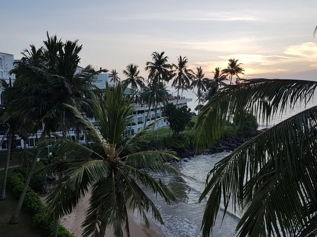 芒特拉维尼亚酒店主图