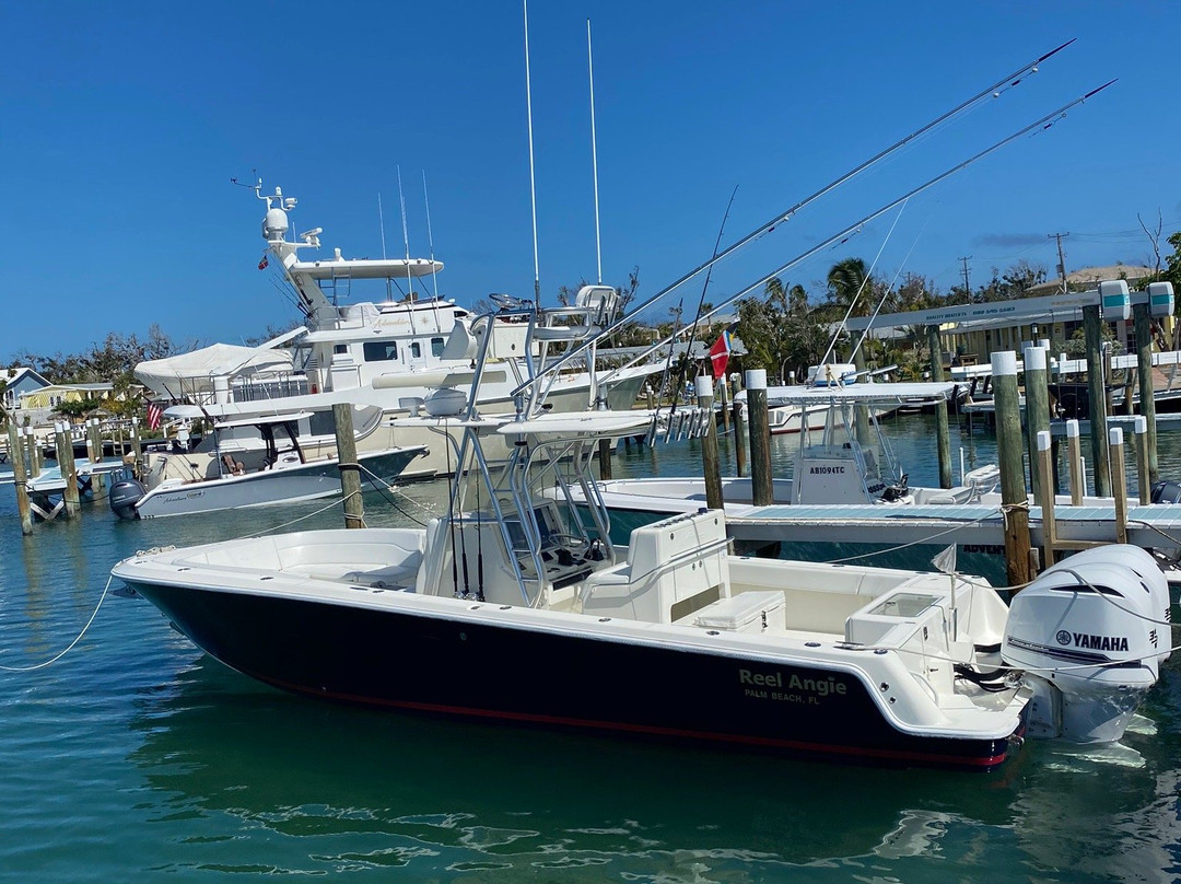 Green Turtle Club & Marina主图