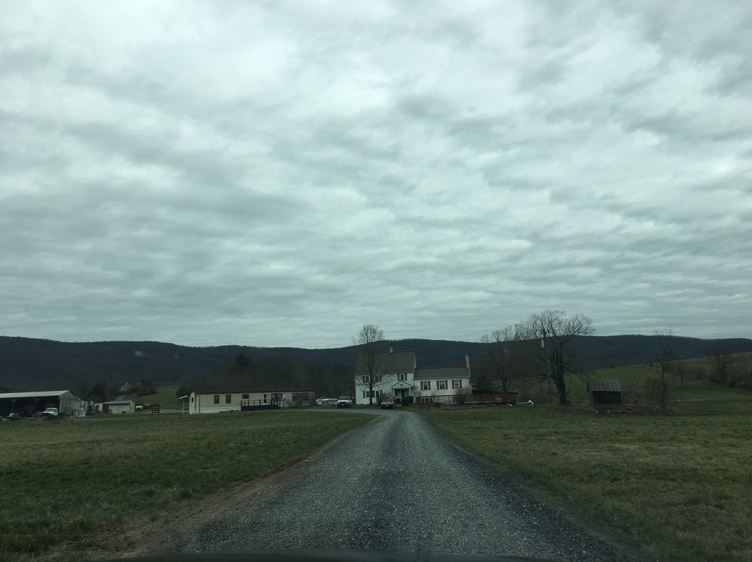 Polyface Farms-Swoope必去景点