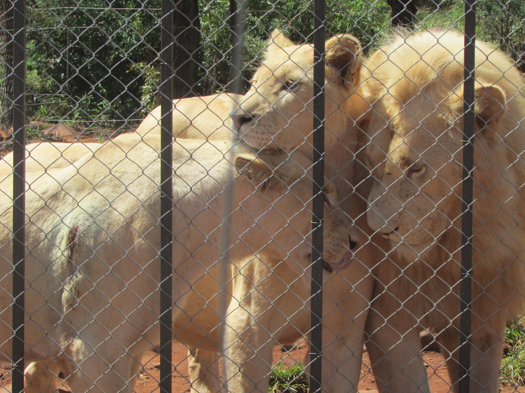 Akwaaba Predator Park-鲁斯登堡必去景点