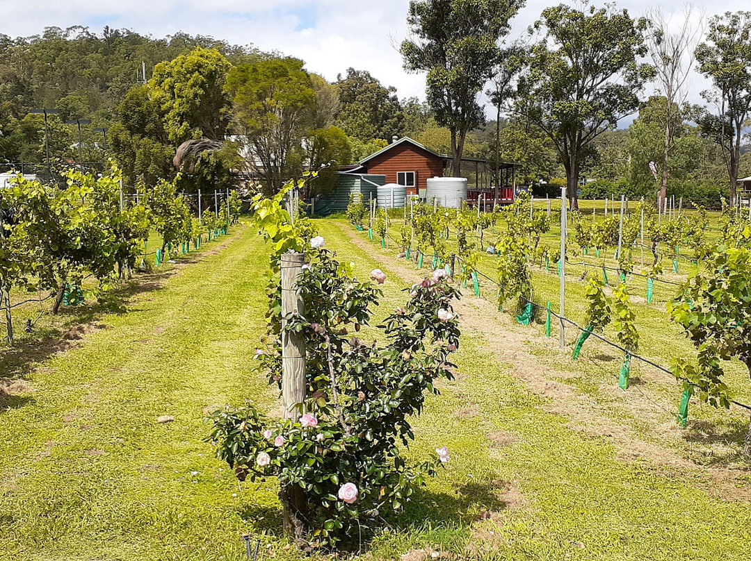 Wollombi Village Vineyard景点图片