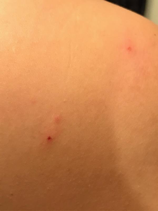 美国芝加哥长住酒店-莱尔主图