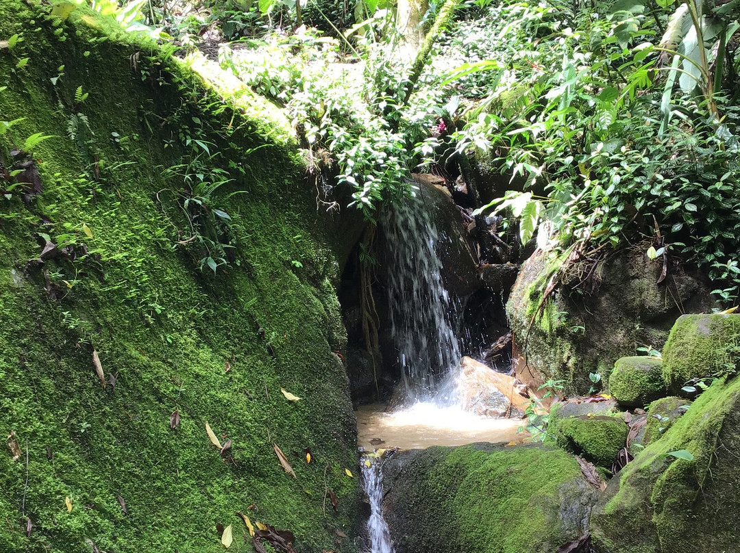Casa Mariposa Nature Lodge主图