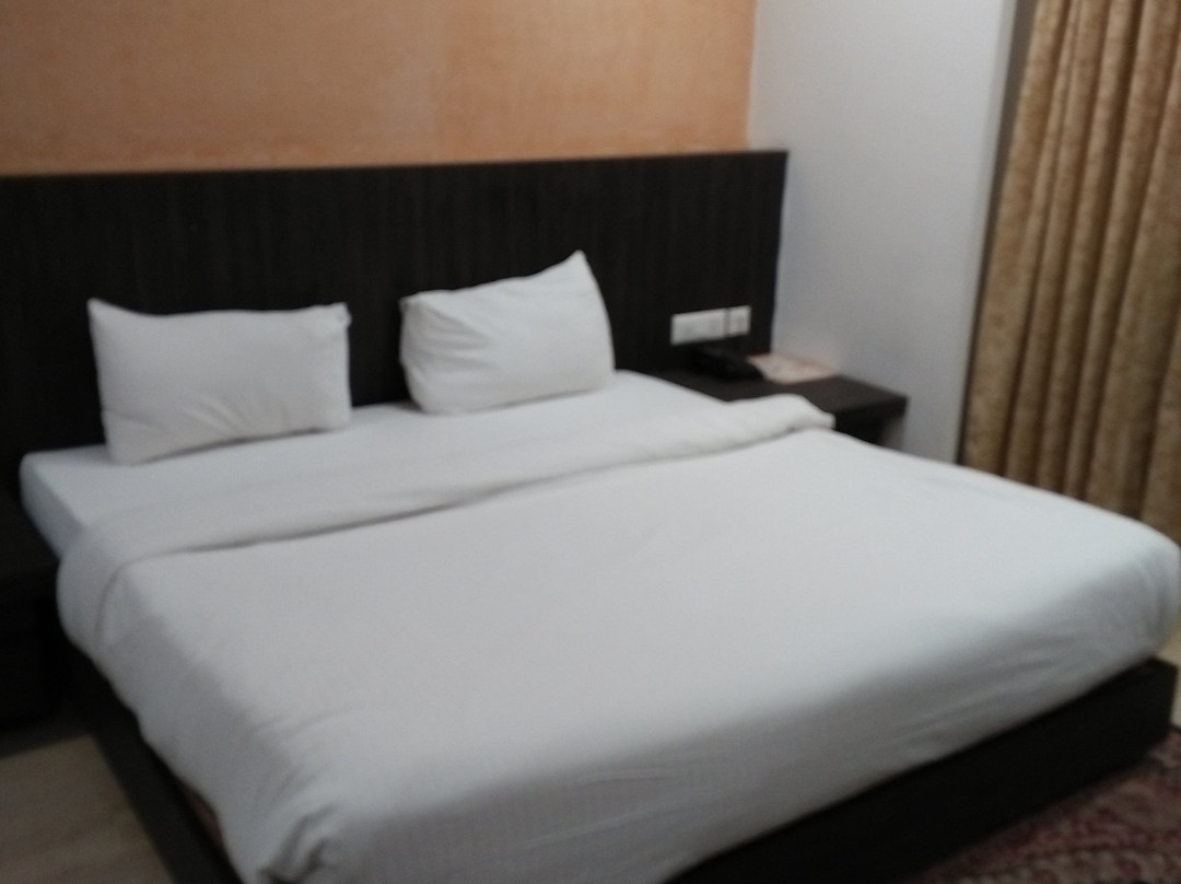Hotel Santosh Dham主图