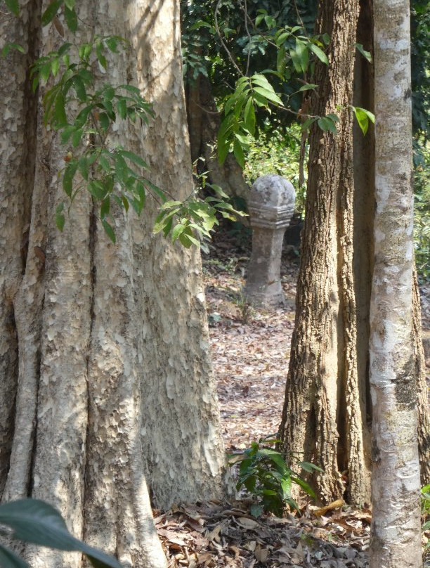 Oum Moung Temple景点图片