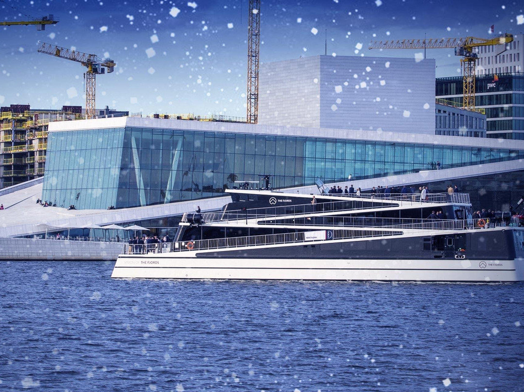 Guided Fjord Tours - Bergen-奥斯陆必去景点